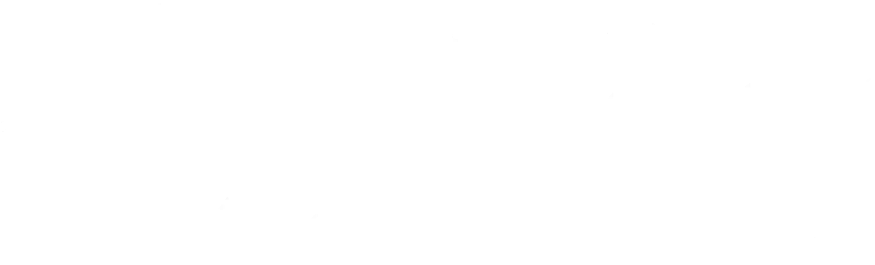 binasheer